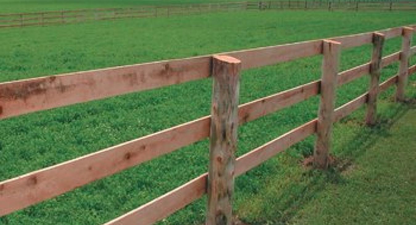 oak fence